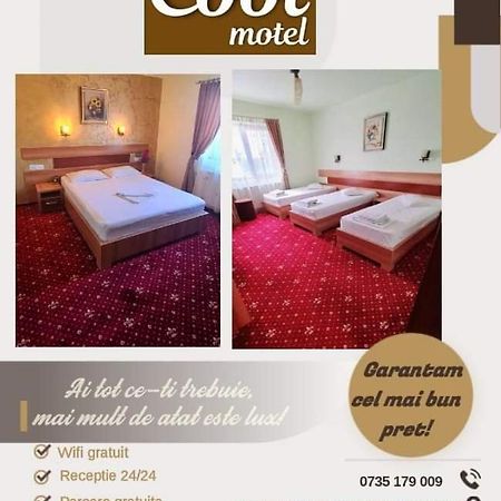 Motel Cool Bărcăneşti Exteriér fotografie