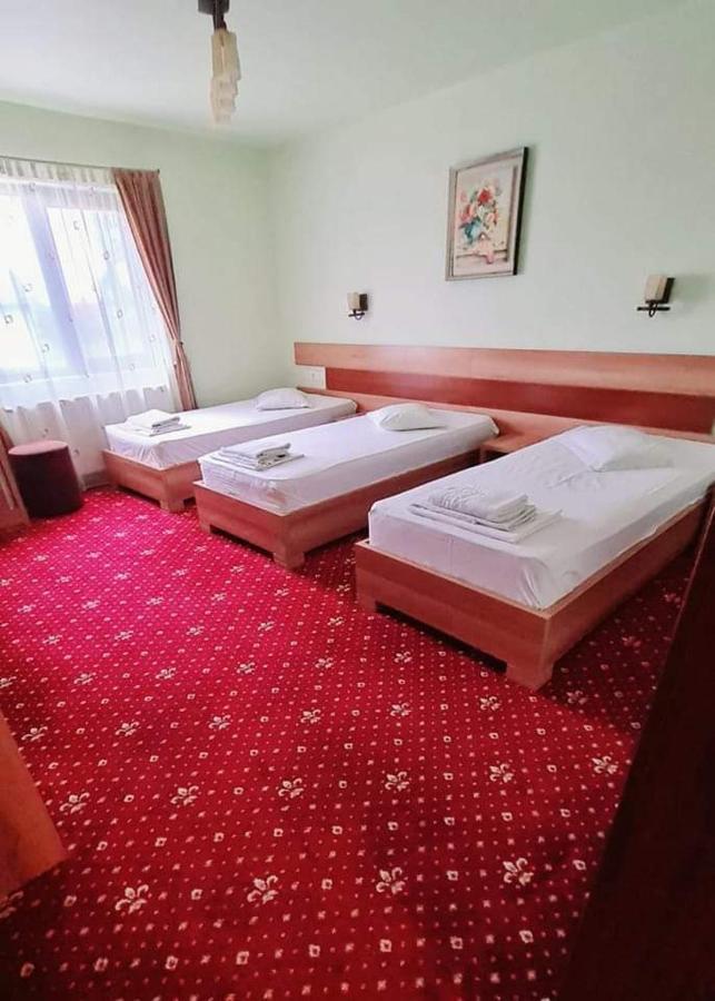 Motel Cool Bărcăneşti Pokoj fotografie