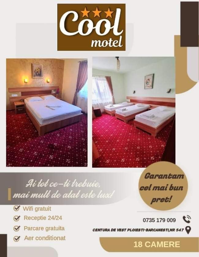 Motel Cool Bărcăneşti Exteriér fotografie